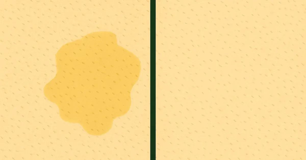 Before-and-after comparison of old pet stain treated with enzyme cleaner on carpet